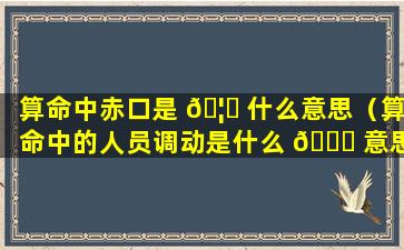 算命中赤口是 🦈 什么意思（算命中的人员调动是什么 🍁 意思）